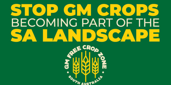 Stop GM Crops becoming part of the SA Landscape